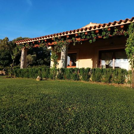 Agriturismo Fioredda Aglientu Ngoại thất bức ảnh